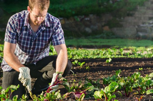 Seasonal lawn care tips for Coney Hall residents